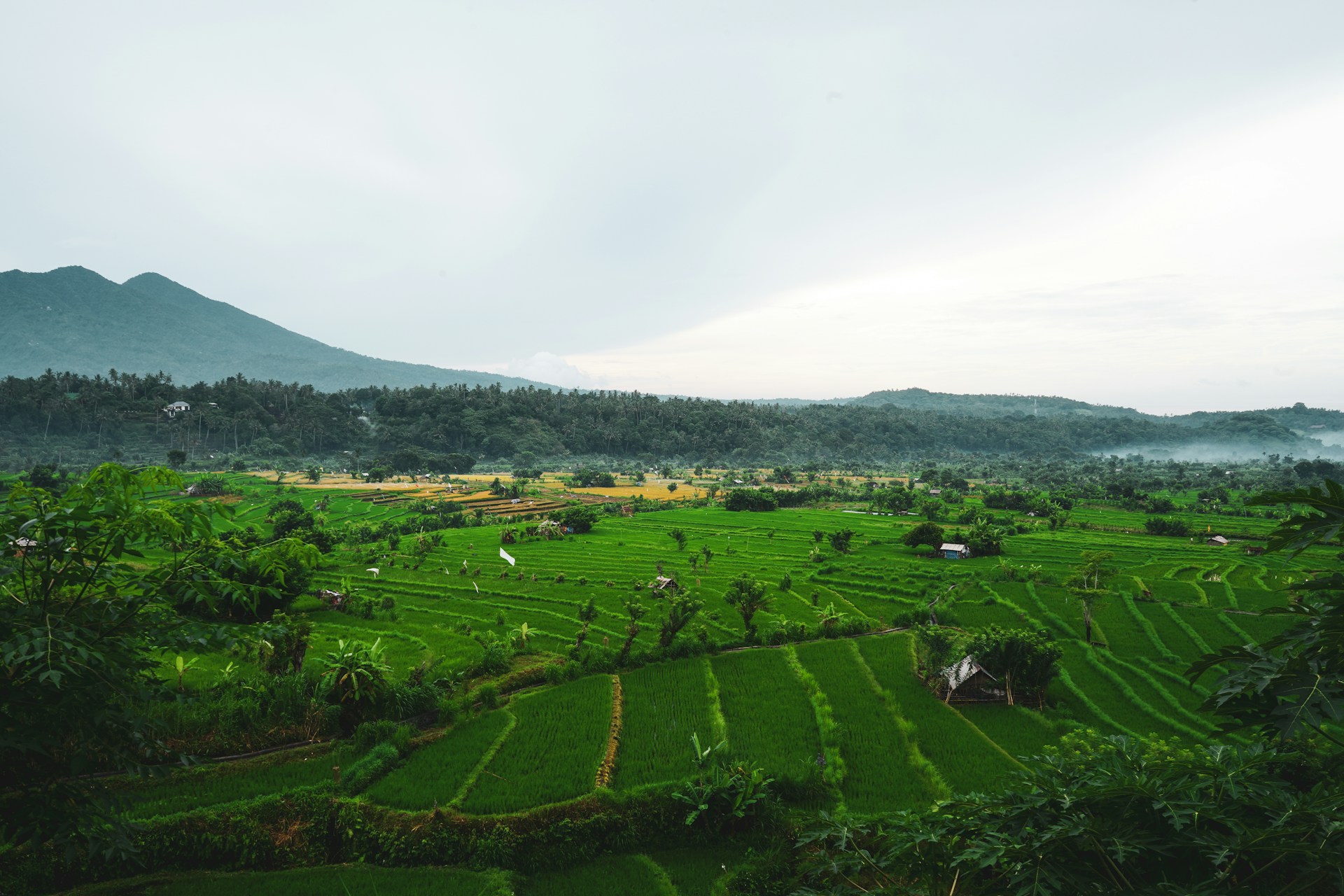 https://unsplash.com/photos/green-grass-field-near-mountain-under-white-clouds-during-daytime-5UvLcZcPPX8